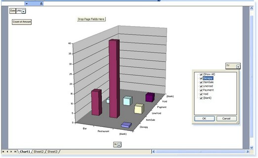 - Example PivotChart -